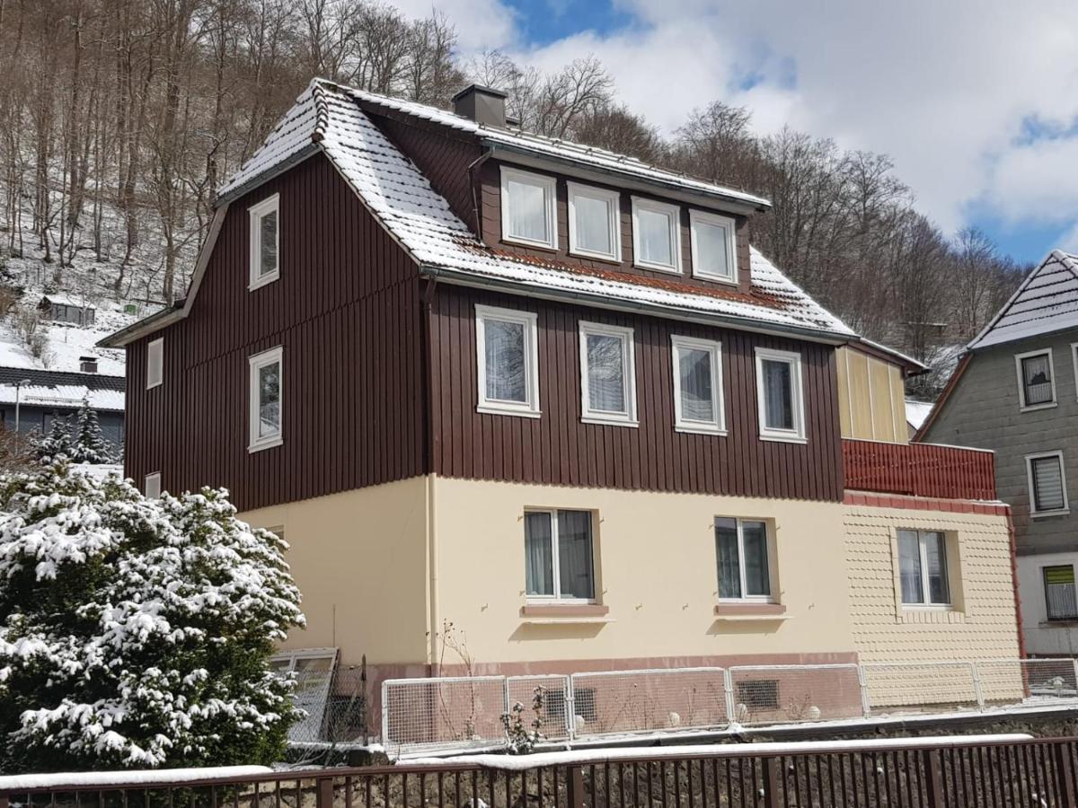 Haus Am Fluss Mit Wunderschoener Dachterrasse Mit Flussblick ,Garten Und Grill Zorge Exterior foto